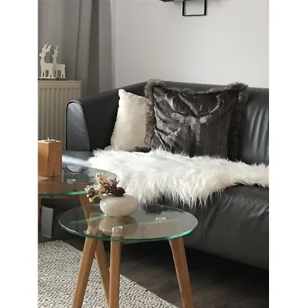 Apartment Ferienwohnung Kleine Auszeit am Schöneck Fischbach
